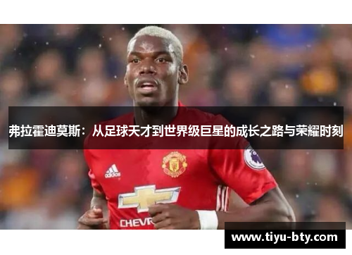 弗拉霍迪莫斯：从足球天才到世界级巨星的成长之路与荣耀时刻