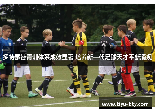 多特蒙德青训体系成效显著 培养新一代足球天才不断涌现 多特蒙德青训体系成效显著 培养新一代足球天才不断涌现