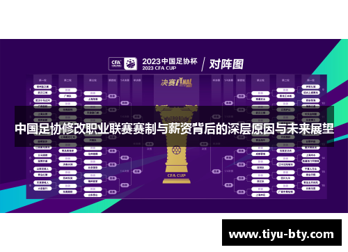 中国足协修改职业联赛赛制与薪资背后的深层原因与未来展望