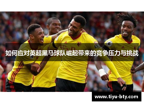 如何应对英超黑马球队崛起带来的竞争压力与挑战 如何应对英超黑马球队崛起带来的竞争压力与挑战