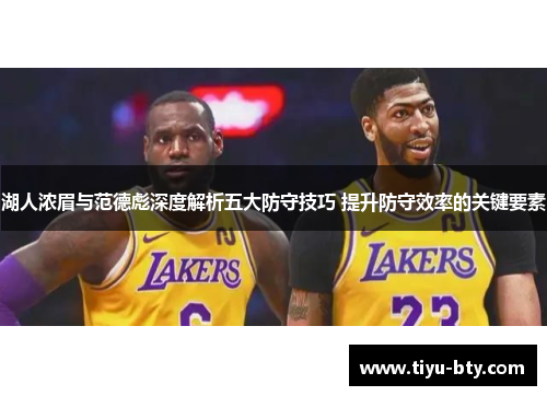 湖人浓眉与范德彪深度解析五大防守技巧 提升防守效率的关键要素