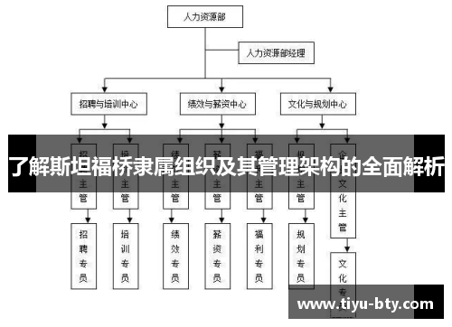 了解斯坦福桥隶属组织及其管理架构的全面解析 了解斯坦福桥隶属组织及其管理架构的全面解析