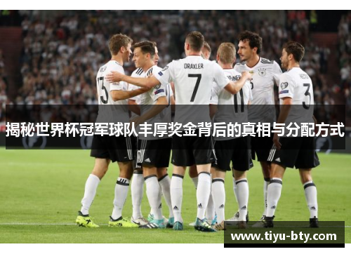 揭秘世界杯冠军球队丰厚奖金背后的真相与分配方式