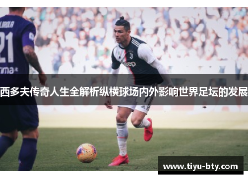 西多夫传奇人生全解析纵横球场内外影响世界足坛的发展 西多夫传奇人生全解析纵横球场内外影响世界足坛的发展